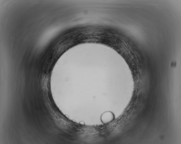 X0000100770146200806190941