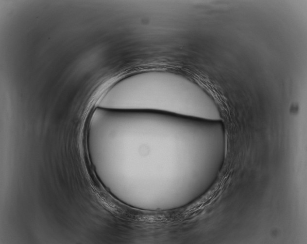 X0000100770147200806190941
