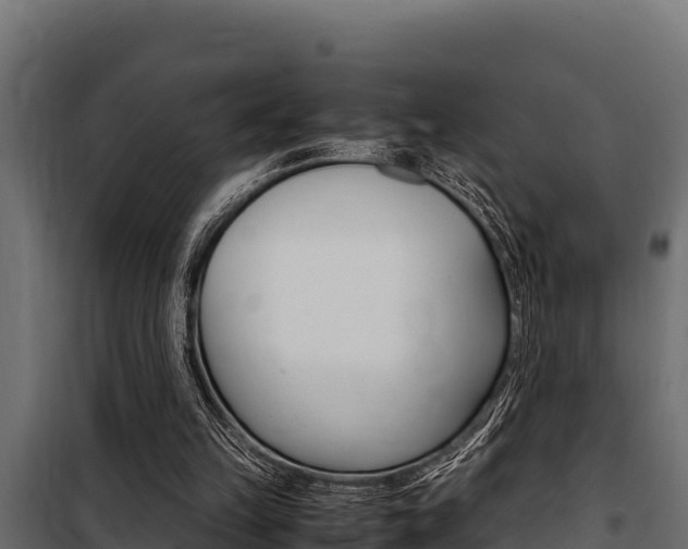 X0000100770149200806190941