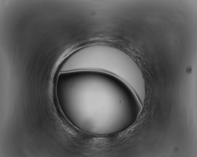 X0000100770150200806190941