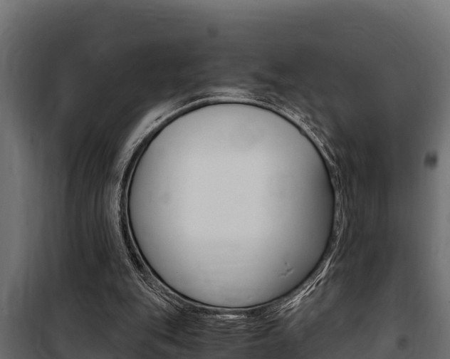 X0000100770151200806190941
