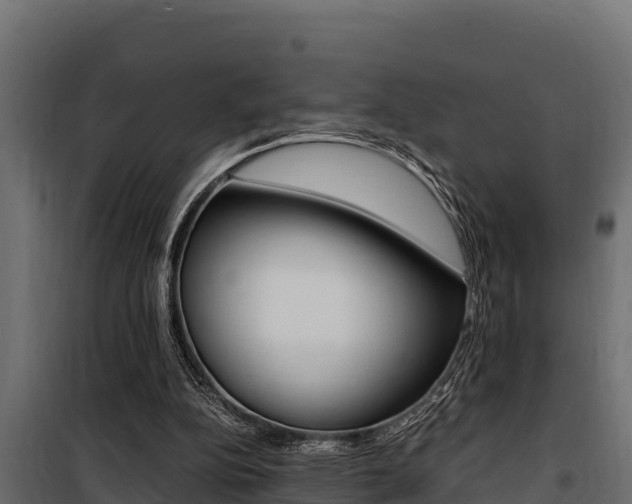 X0000100770152200806190941