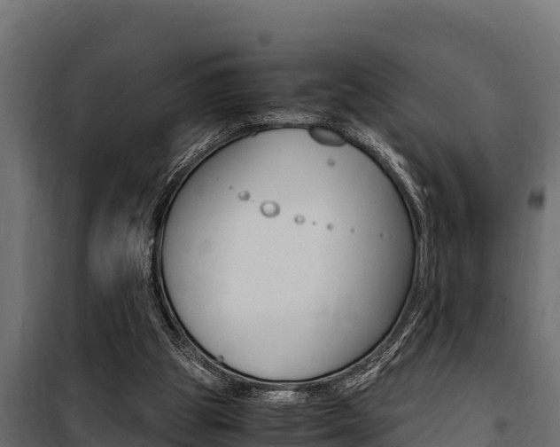 X0000100770153200806190941