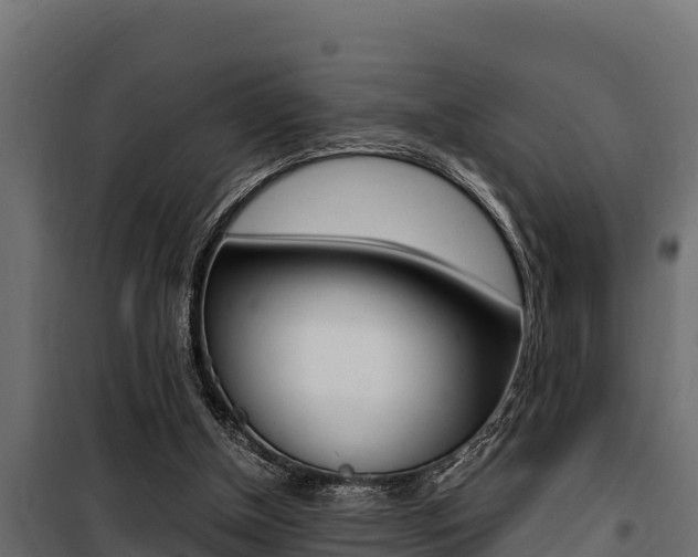 X0000100770154200806190941