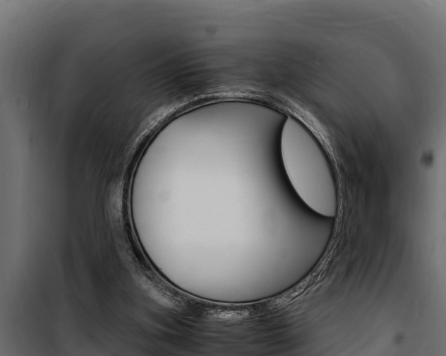 X0000100770155200806190941