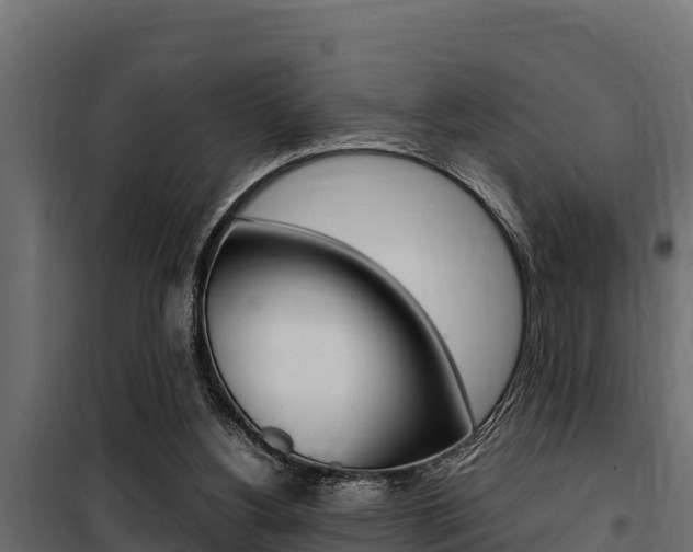 X0000100770156200806190941
