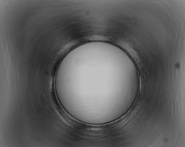 X0000100770157200806190941