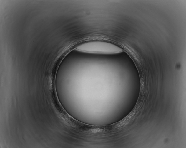 X0000100770158200806190941