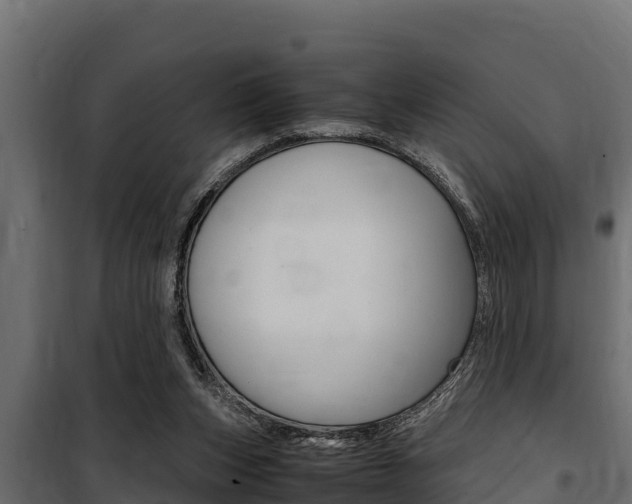 X0000100770159200806190941