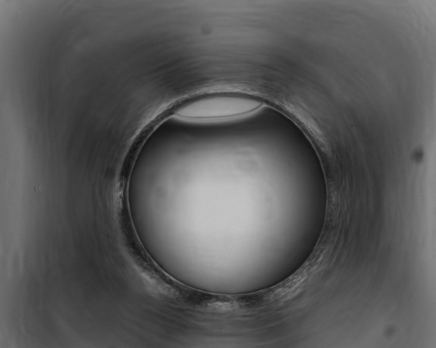X0000100770160200806190941