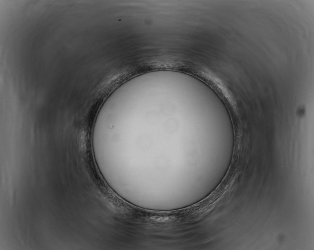 X0000100770161200806190941