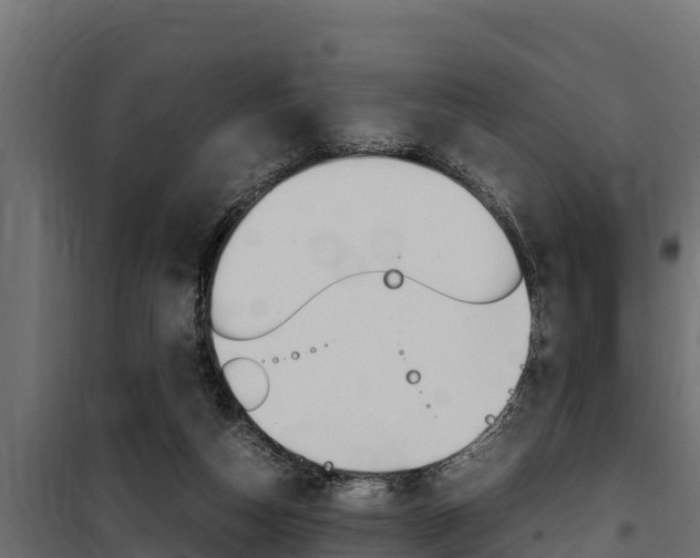 X0000100770162200806190941