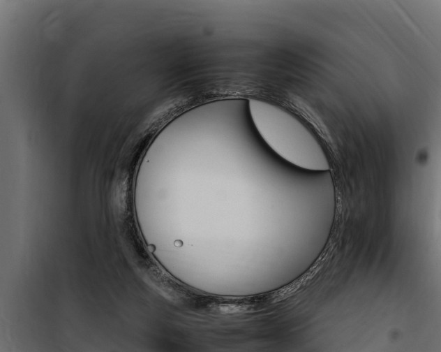 X0000100770163200806190941