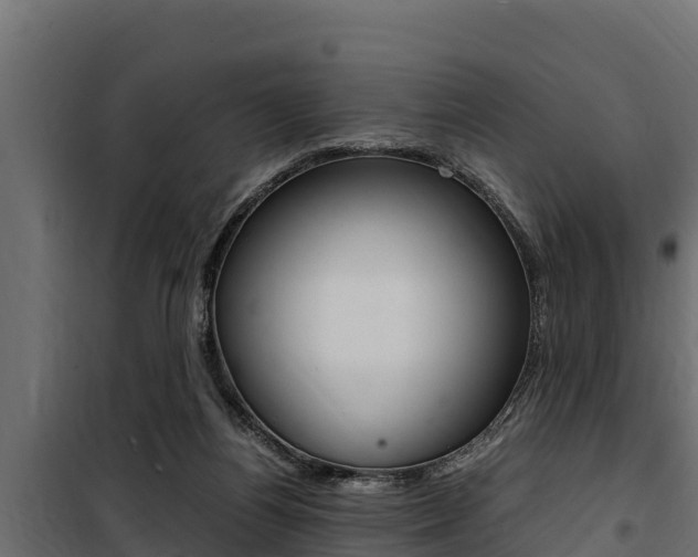 X0000100770164200806190941