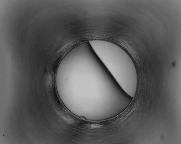 X0000100770165200806190941