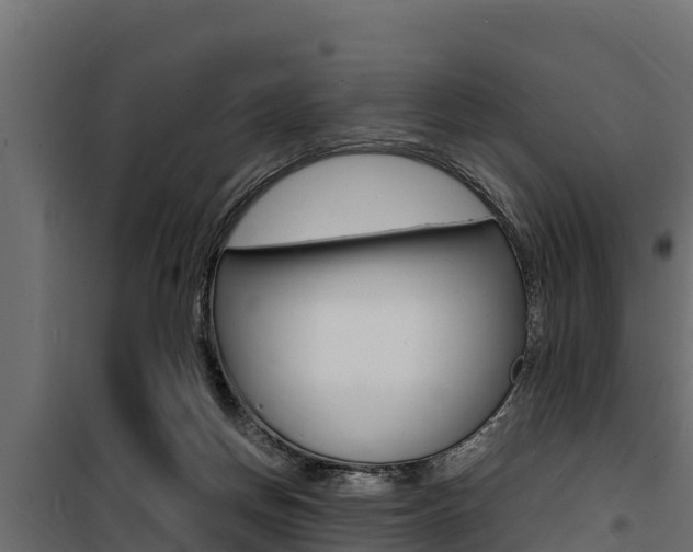 X0000100770166200806190941