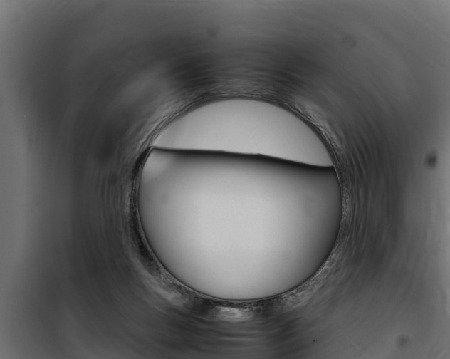 X0000100770167200806190941