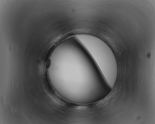 X0000100770168200806190941