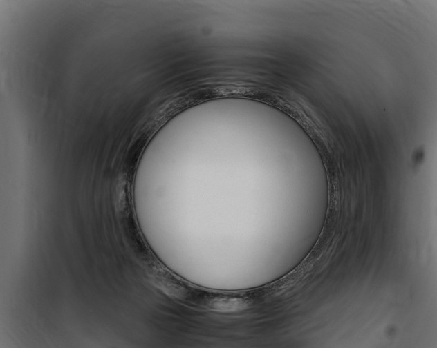 X0000100770169200806190941