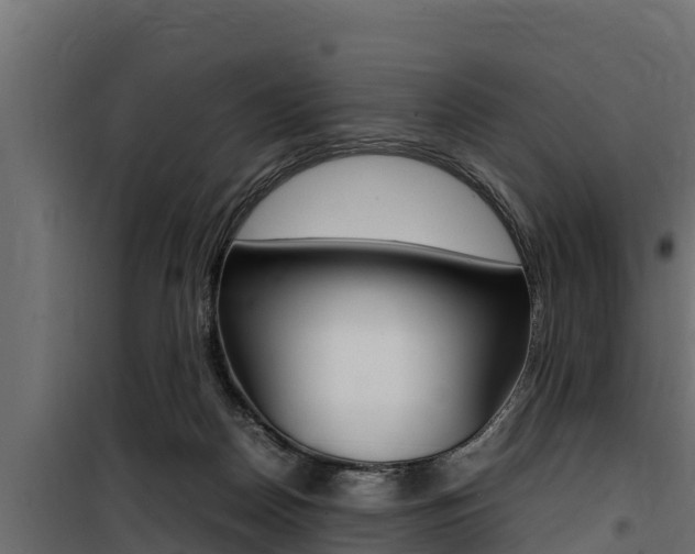 X0000100770170200806190941