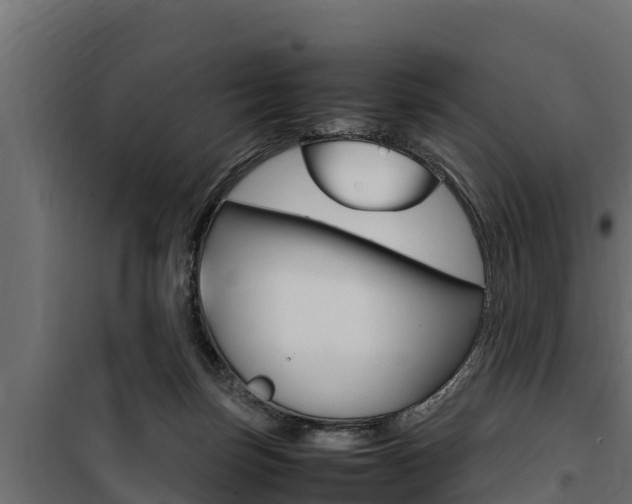 X0000100770171200806190941