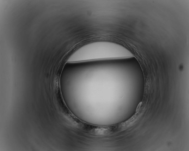 X0000100770172200806190941