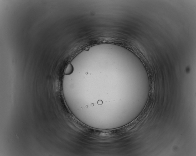X0000100770173200806190941