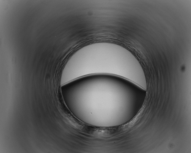 X0000100770174200806190941