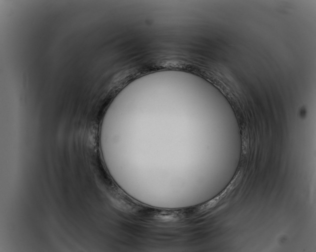X0000100770175200806190941