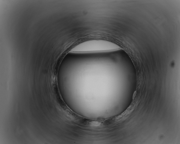 X0000100770176200806190941