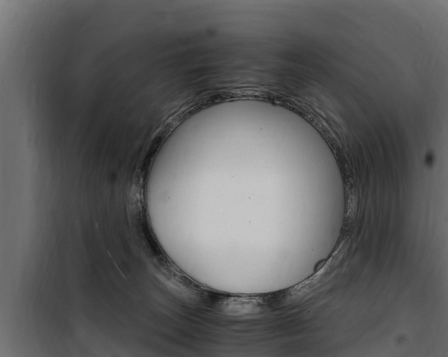 X0000100770179200806190941
