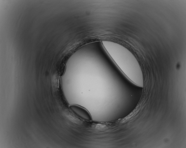 X0000100770180200806190942