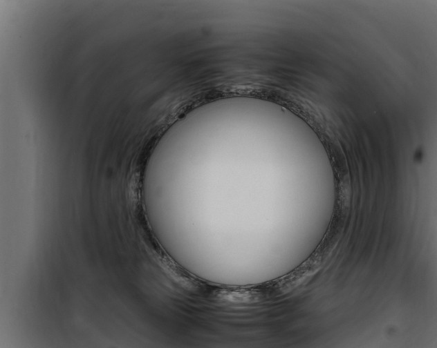 X0000100770181200806190942