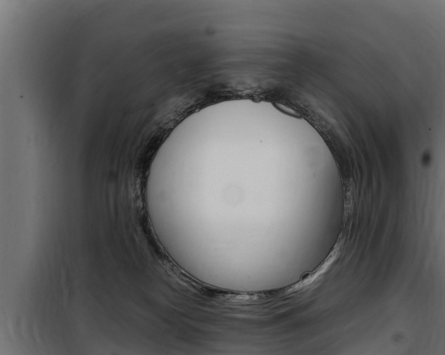 X0000100770182200806190942