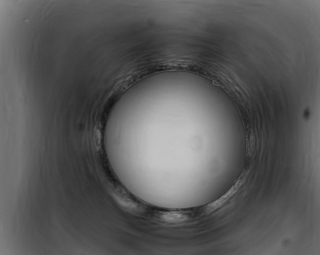 X0000100770183200806190942