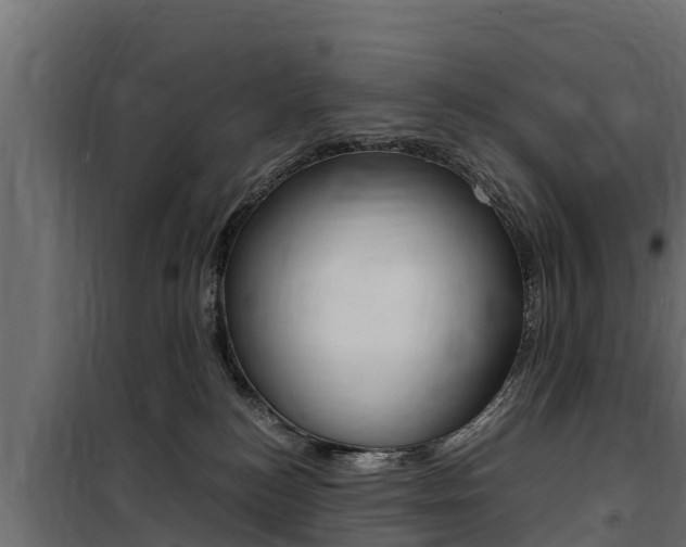 X0000100770184200806190942