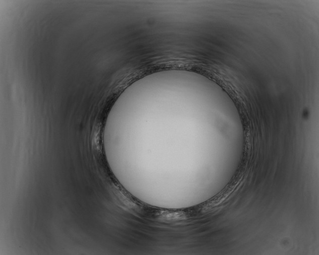 X0000100770185200806190942