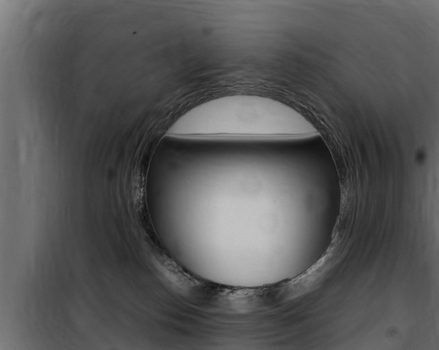 X0000100770186200806190942