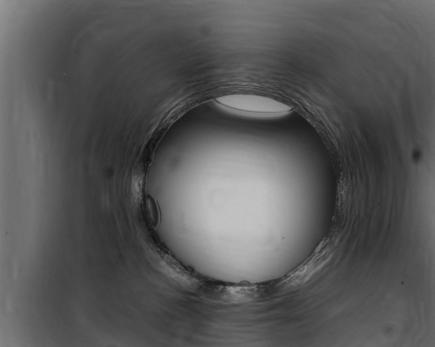 X0000100770188200806190942