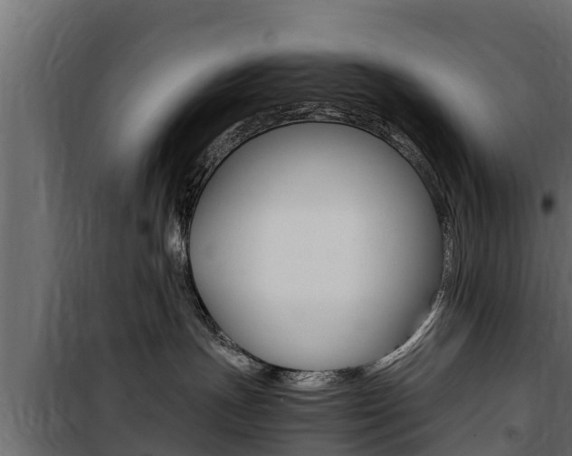 X0000100770191200806190942