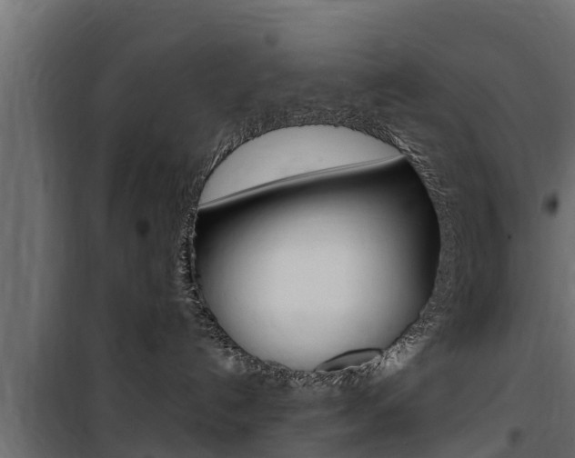 X0000100770192200806190942