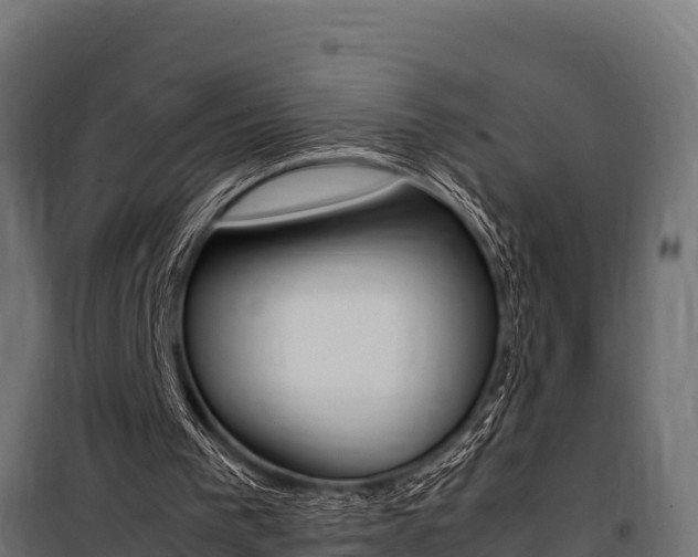 X0000100770193200806190941