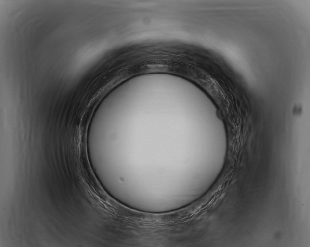 X0000100770194200806190941