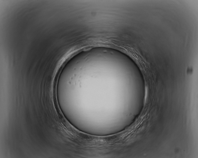 X0000100770195200806190941