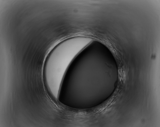 X0000100770196200806190941