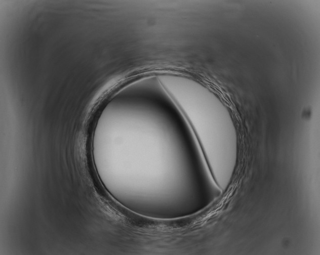 X0000100770197200806190941