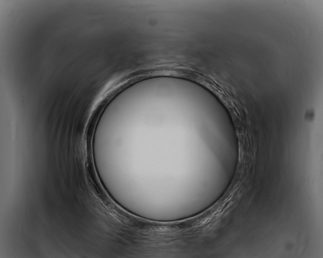 X0000100770198200806190941