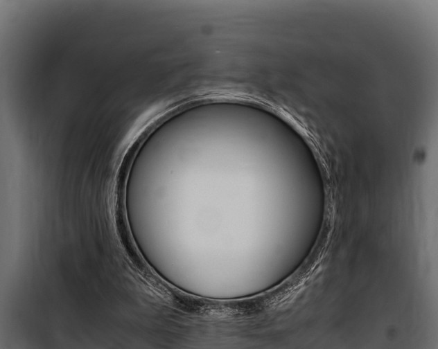 X0000100770199200806190941