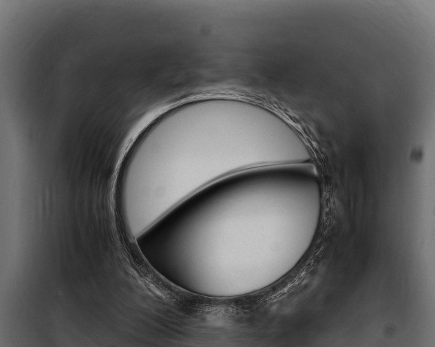 X0000100770200200806190941