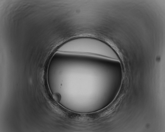 X0000100770201200806190941